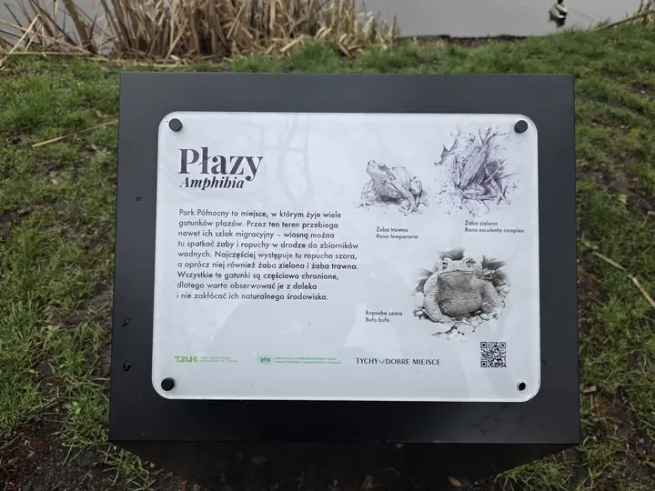 Płazy