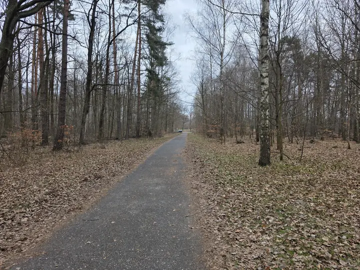 Leśna trasa, wyjazd z lasu