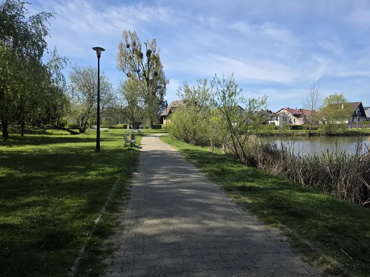 Aleja parkowa, staw po prawej, widok w stronę ulicy Owczarskiej