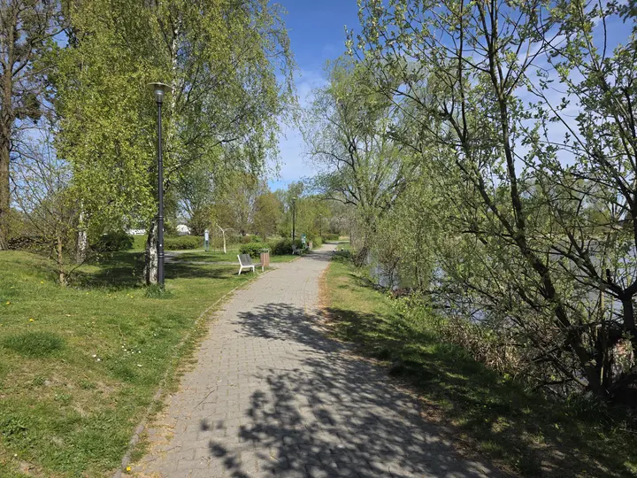 Aleja parkowa, po prawej staw, po lewej ulica Stoczniowc&oacute;w