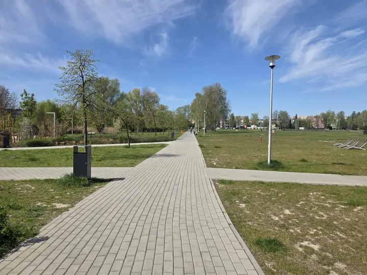 Skrzyżowanie alei w parku