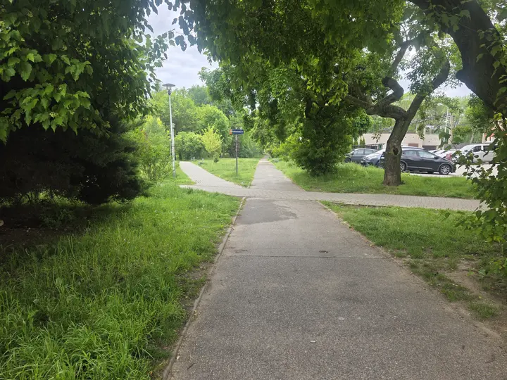 Aleja parkowa, wejście od ulicy Edukacji