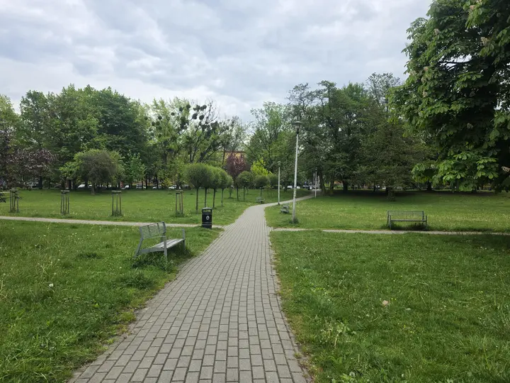 Aleja parkowa w kierunku ulicy Elf&oacute;w