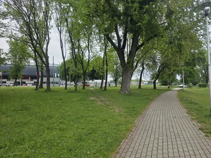 Aleja parkowa, po lewej stronie ulica Edukacji i Stadion Miejski