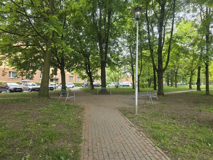 Rozwidlenie parkowych alejek z ławkami i niewielkim placykiem