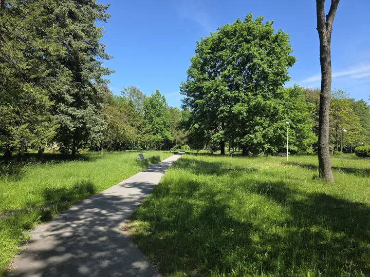 Aleja parku z ławkami