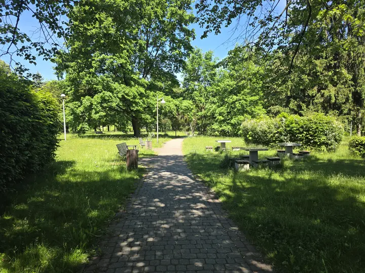 Aleja parkowa z ławkami oraz stolikami