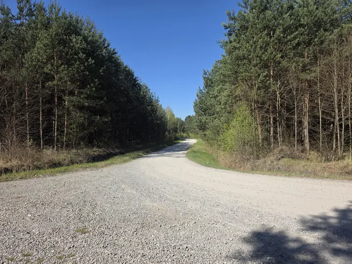 Droga leśna w stronę Kobi&oacute;ra