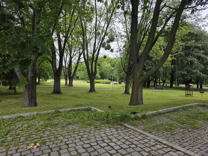 Widok parku z parkingu przed UM Tychy