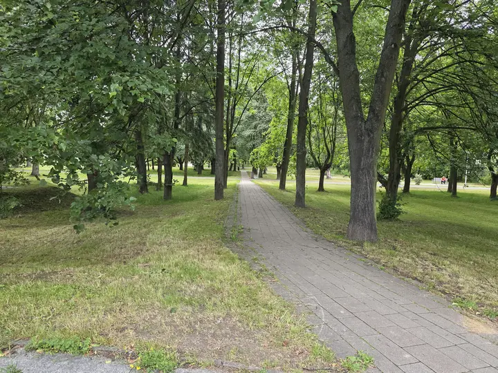 Aleja parkowa od strony parkingu UM Tychy