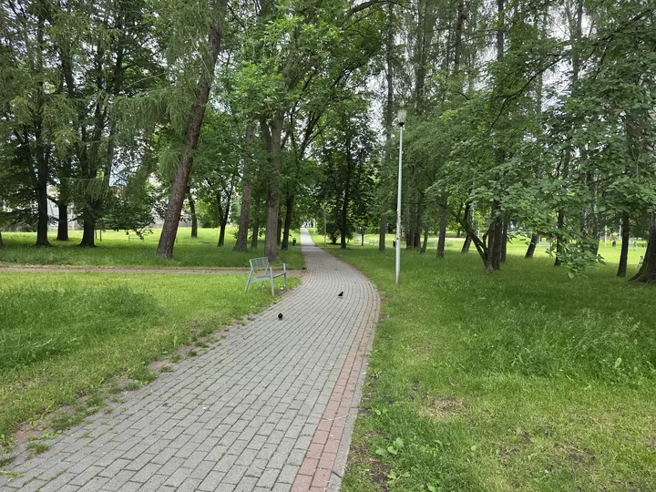 Aleja parkowa z ławkami, widok w kierunku ulicy Edukacji