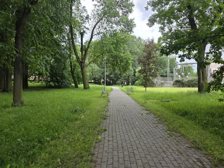Aleja parkowa z ławkami, widok w kierunku alei Niepodległości