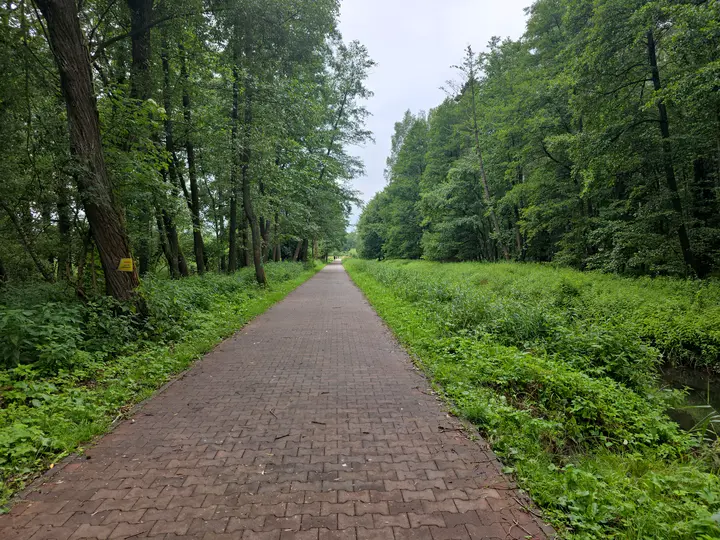 Brukowana ścieżka wzdłuż jeziora