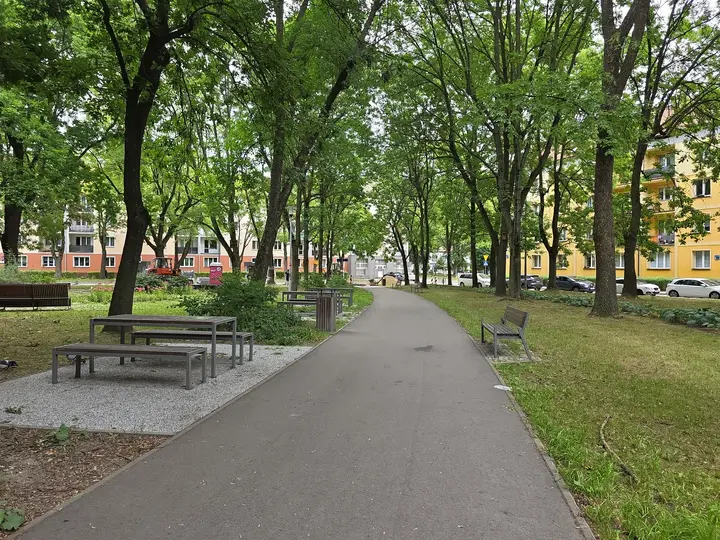 Aleja parku oraz miejsca na piknik