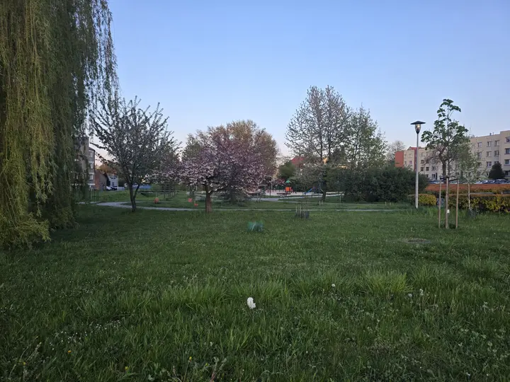 Widok skweru od ulicy