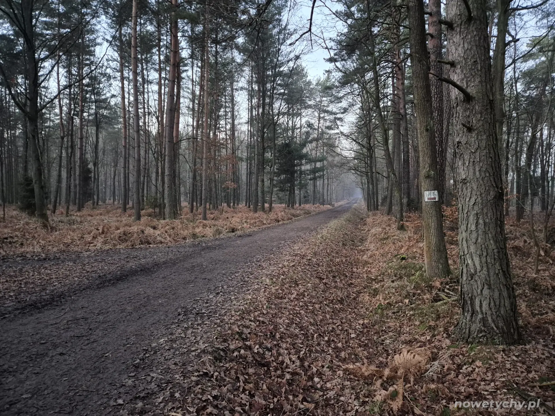 Droga na p&oacute;łnoc