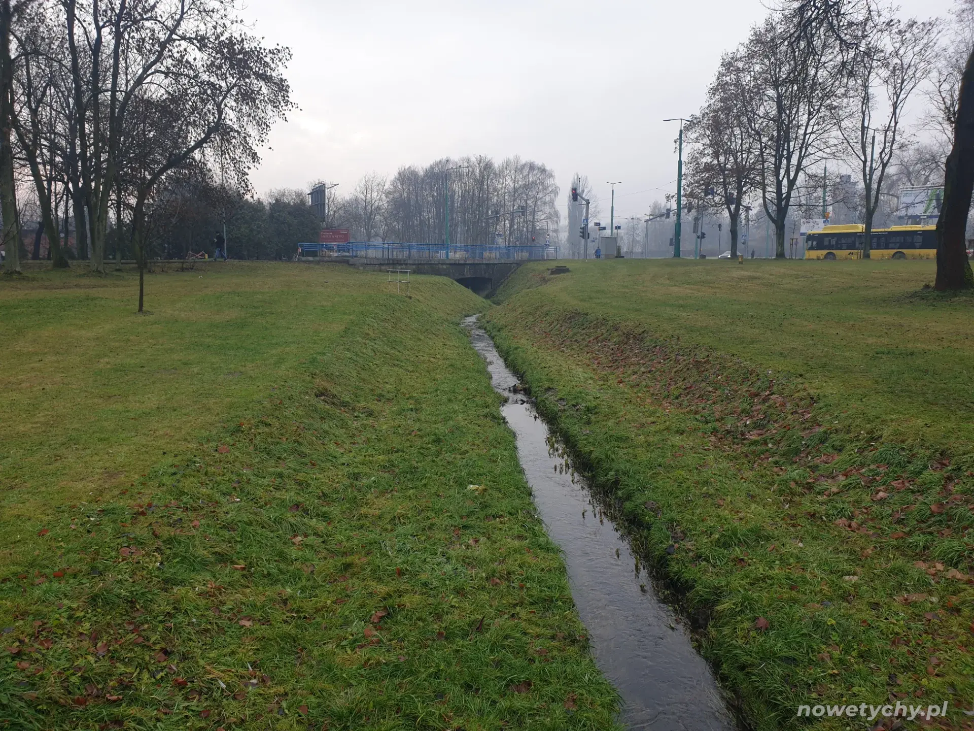 Potok wilkowyjski widok w stronę ulicy Burschego