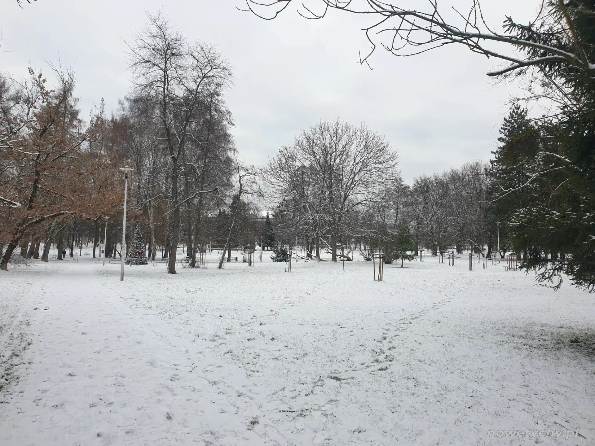 Widok parku zimą, po lewej stronie świąteczna choinka