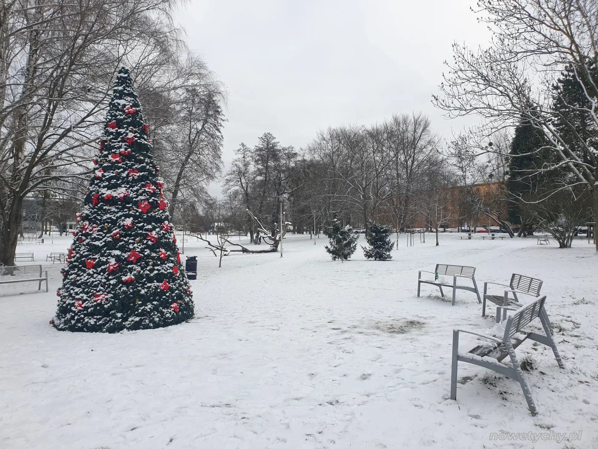 Świąteczna choinka
