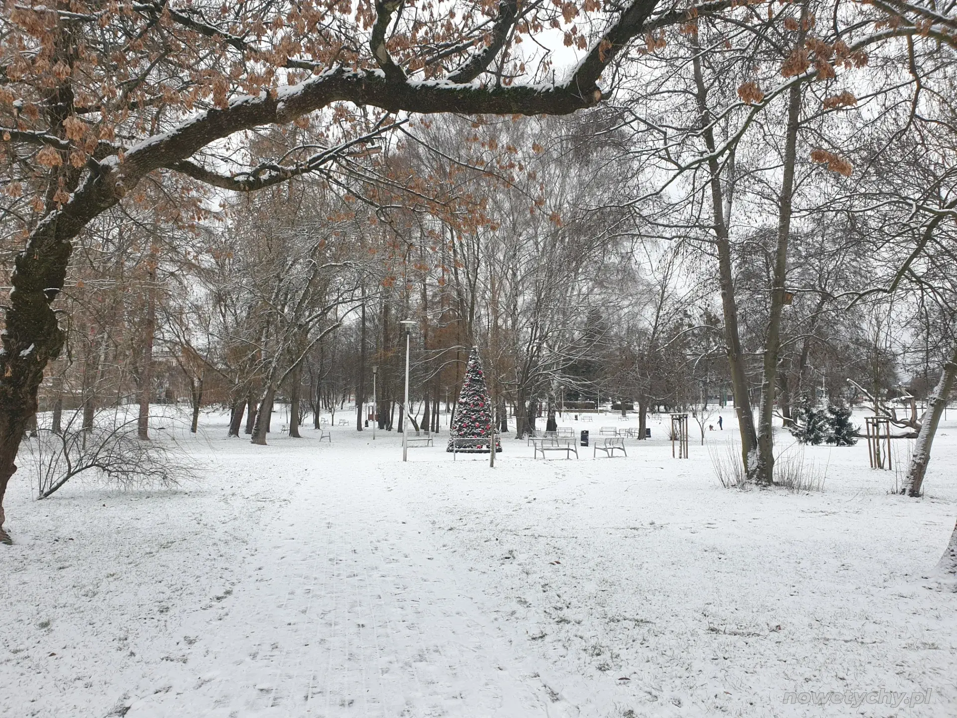Świąteczna choinka, widok w stronę Stadionu
