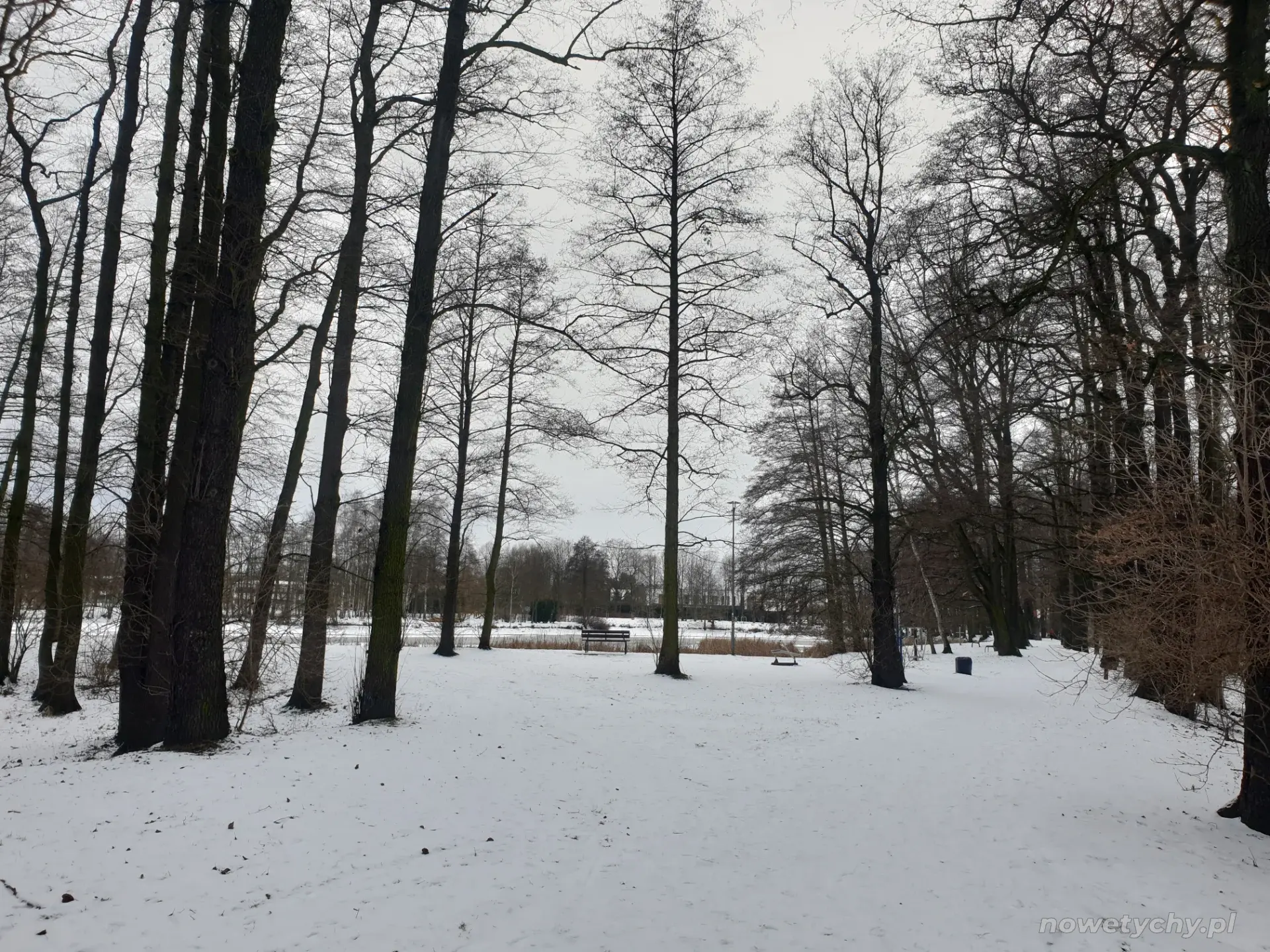 Wejście od ulicy Rybnej, widok na staw