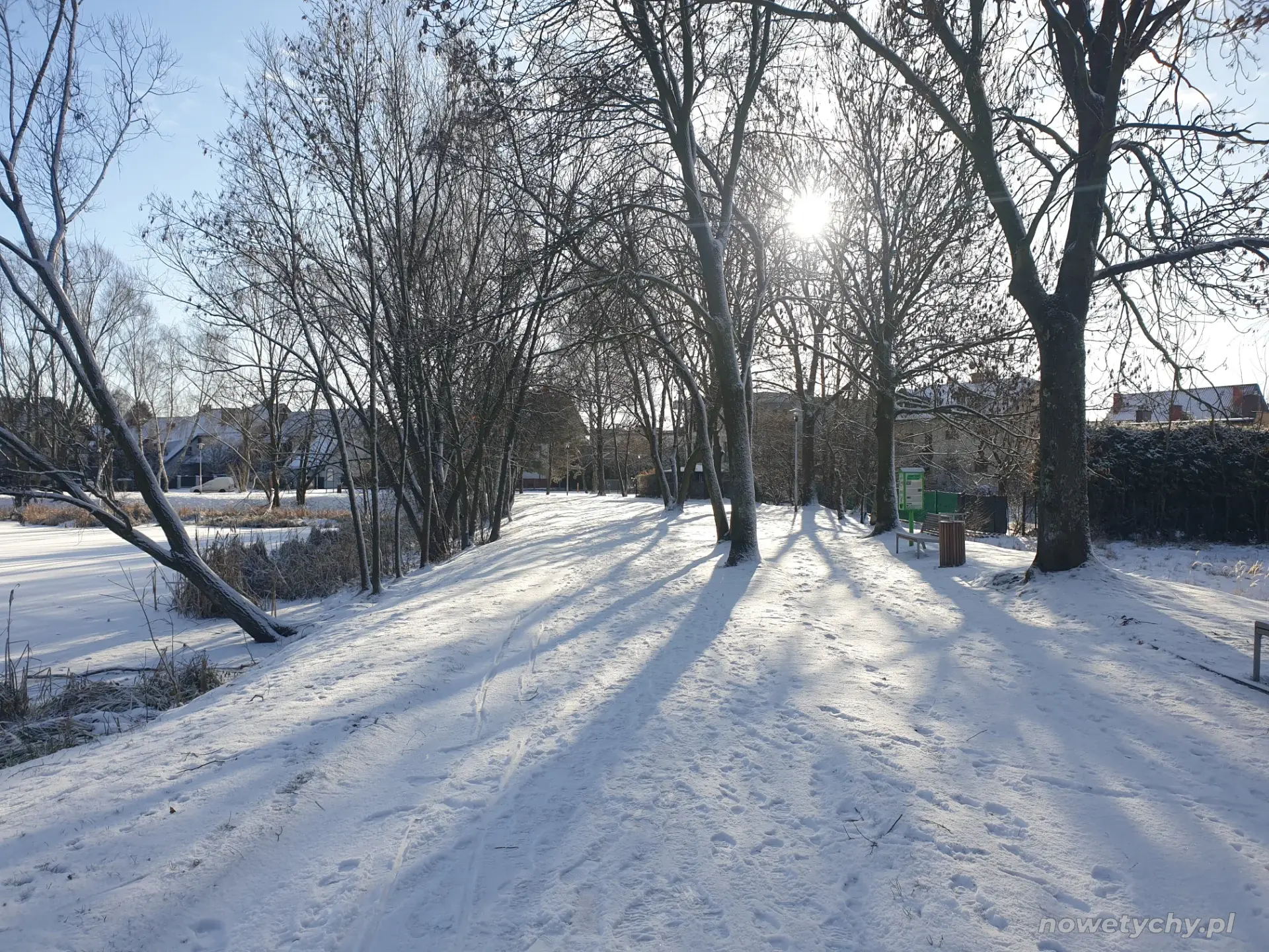 Aleja parkowa zimą, po lewej stronie staw