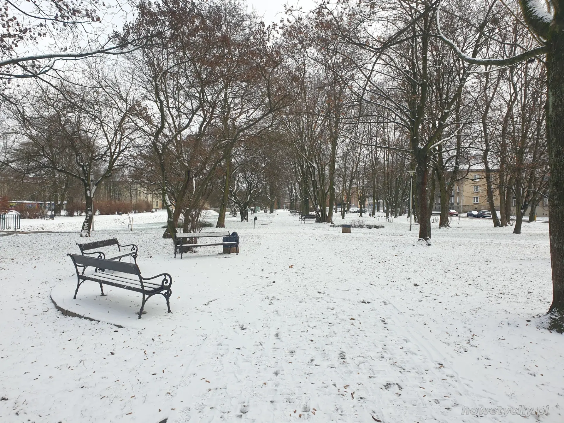 Widok na ławki, po prawej stronie ulica Hlonda