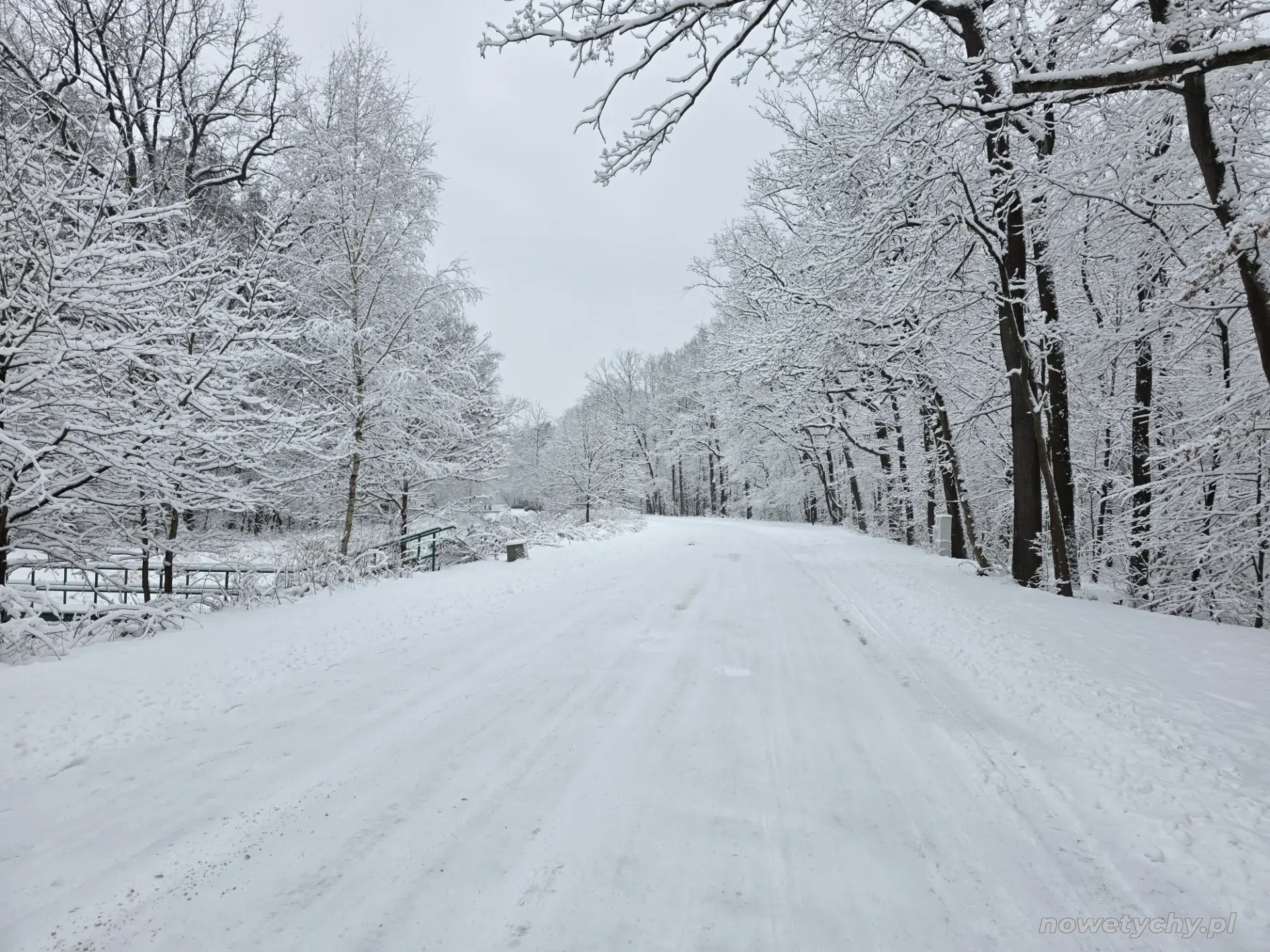 Droga nad jezioro zimą