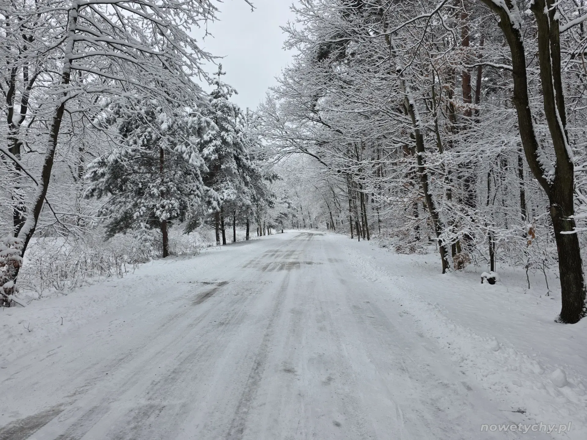 Droga nad jezioro zimą