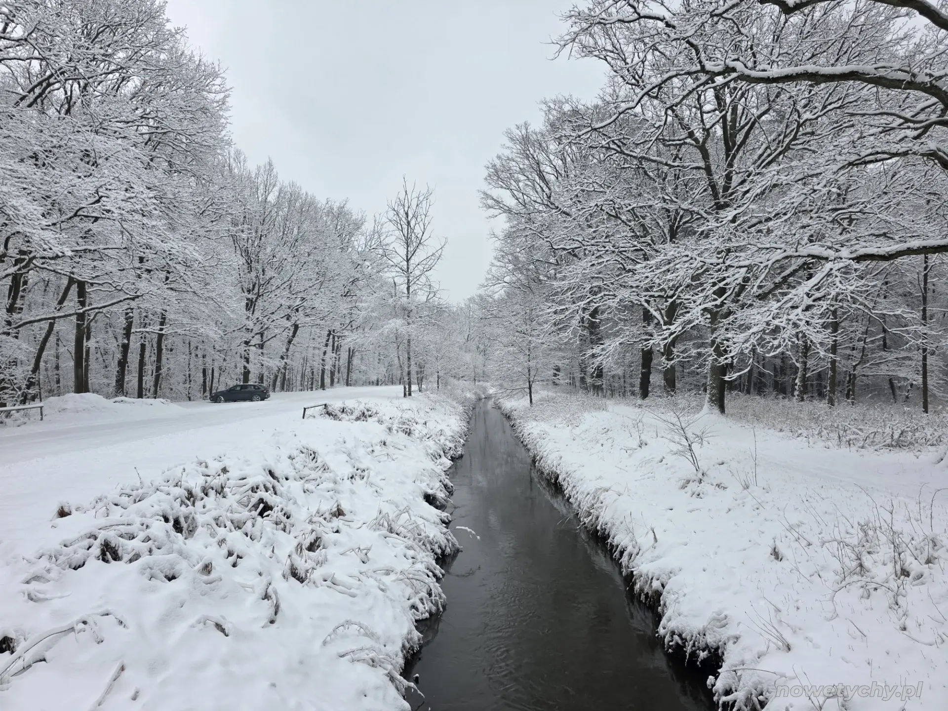 Widok z mostku nad Gostynką