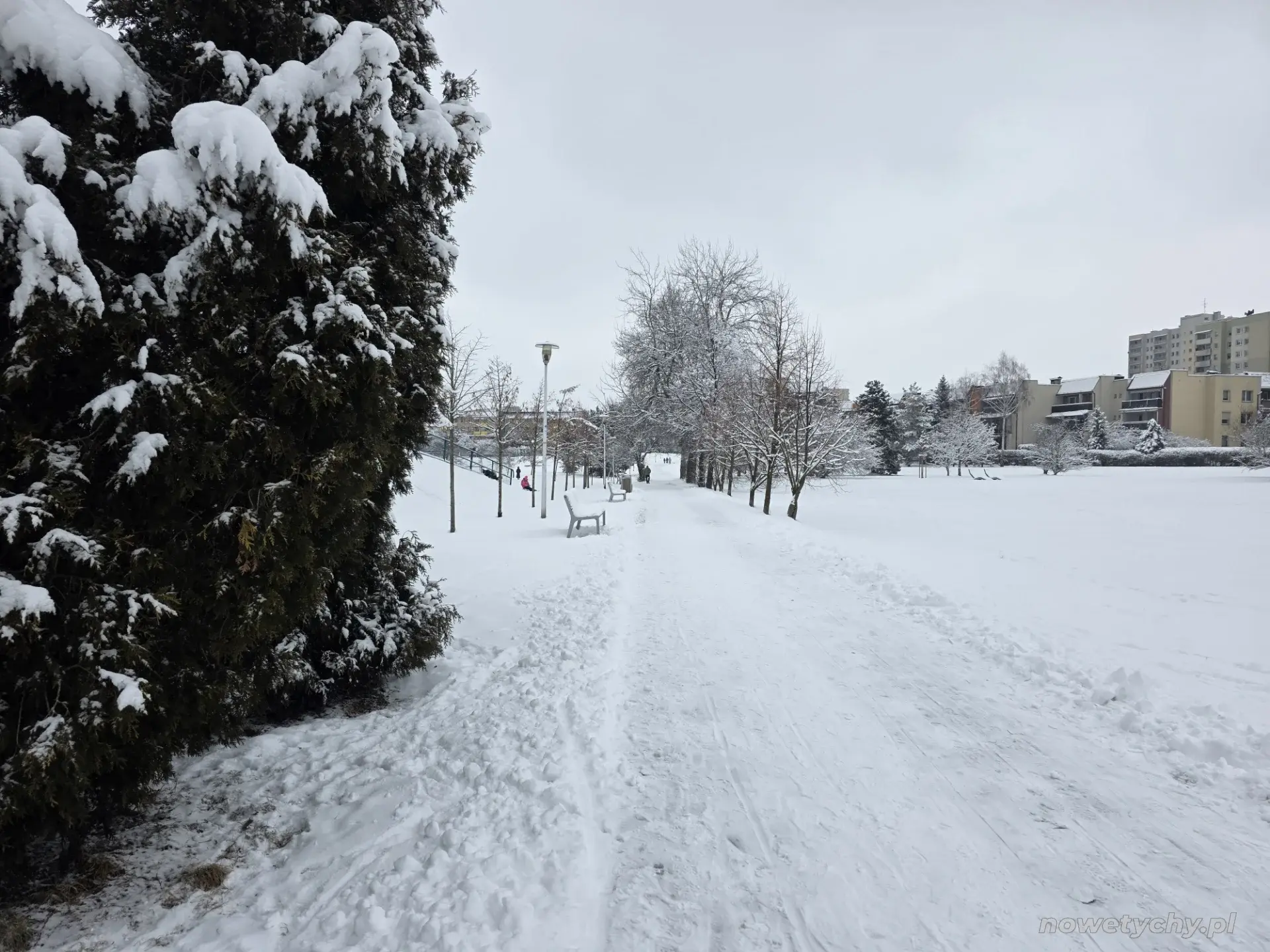 Aleja parkowa, po lewej g&oacute;rka saneczkowa