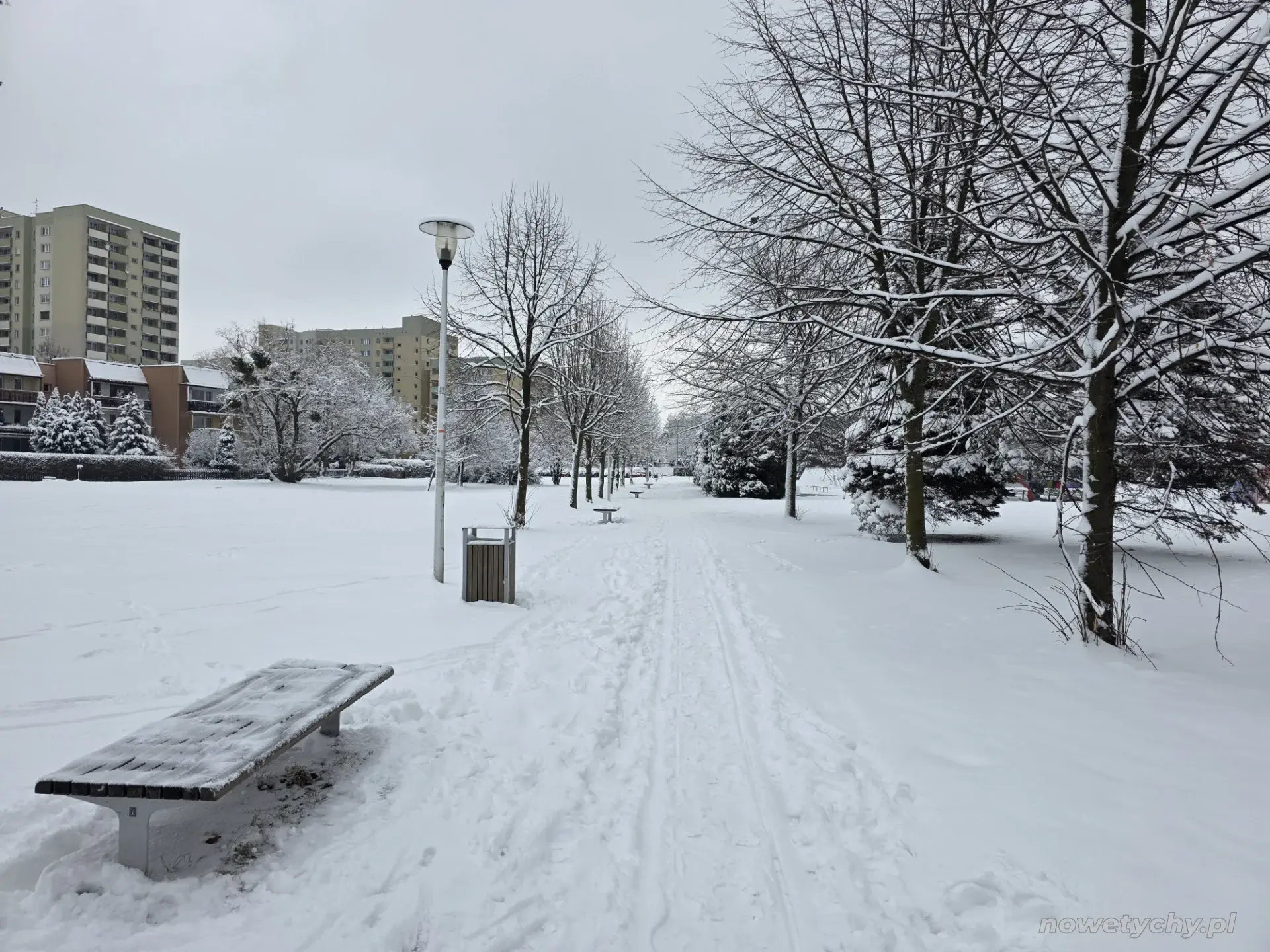 Aleja parkowa zimą