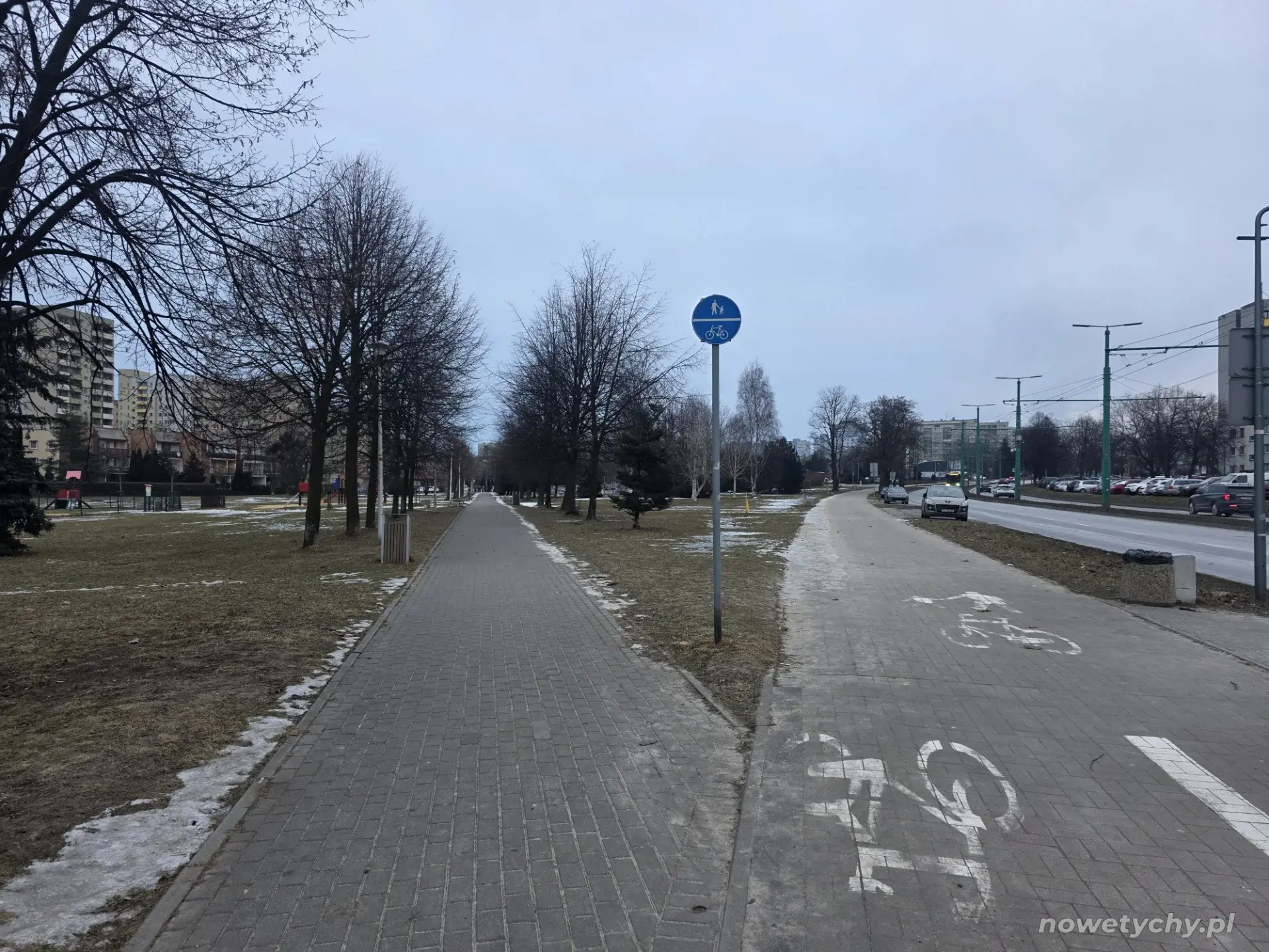 Aleja parkowa wzdłuż ulicy Jaśkowickiej