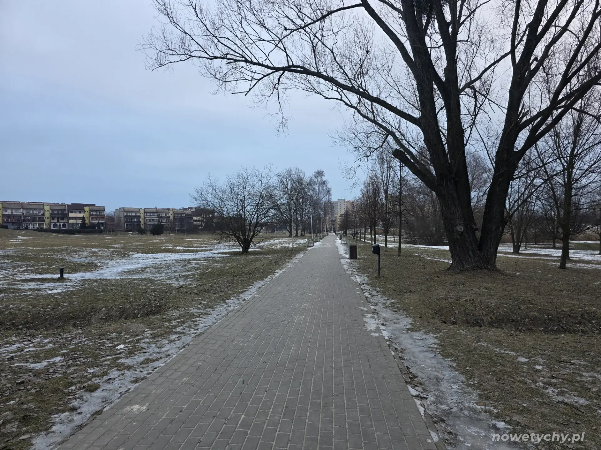 Aleja parkowa zimą