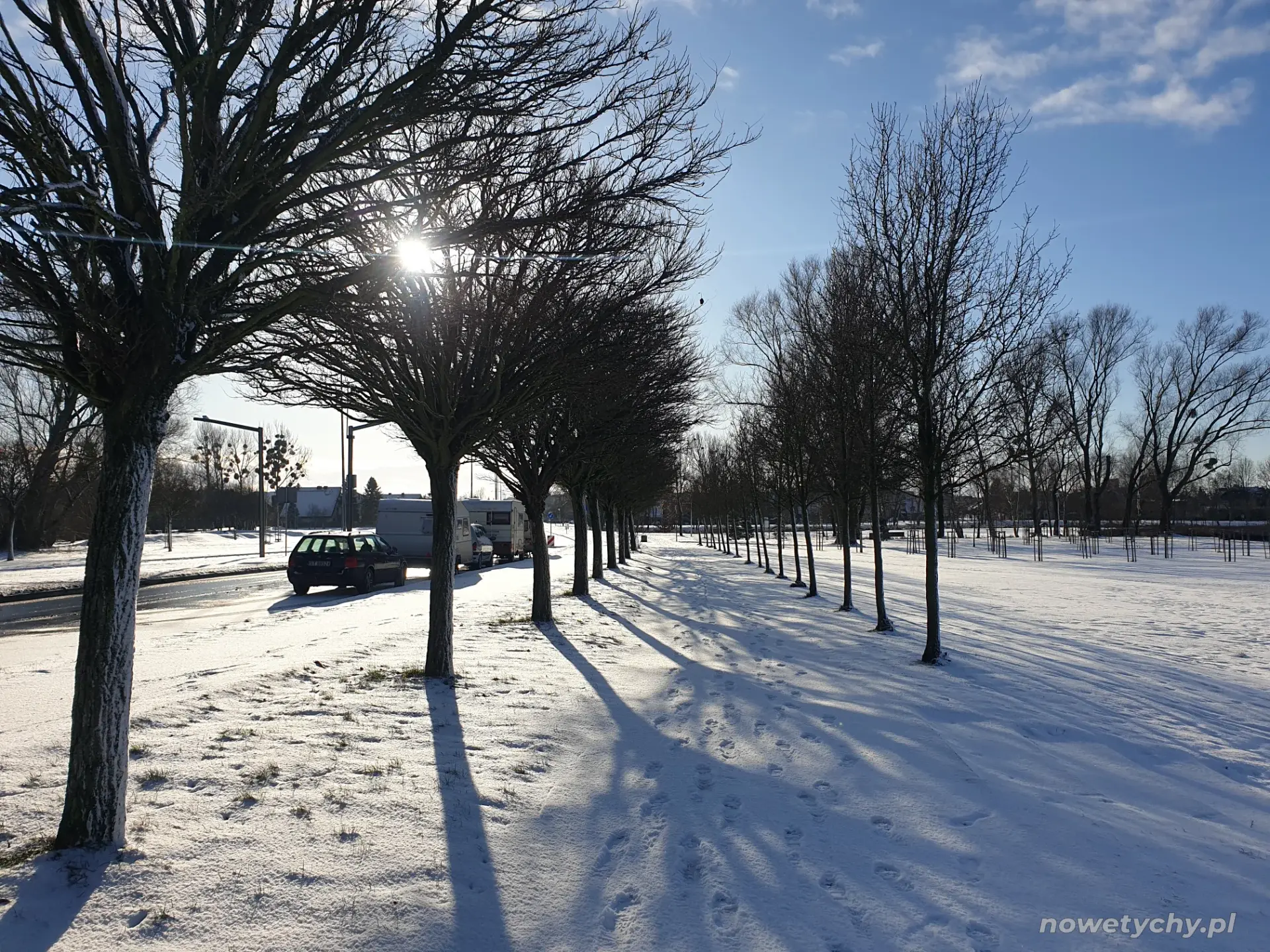 Aleja wzdłuż ulicy Stoczniowc&oacute;w