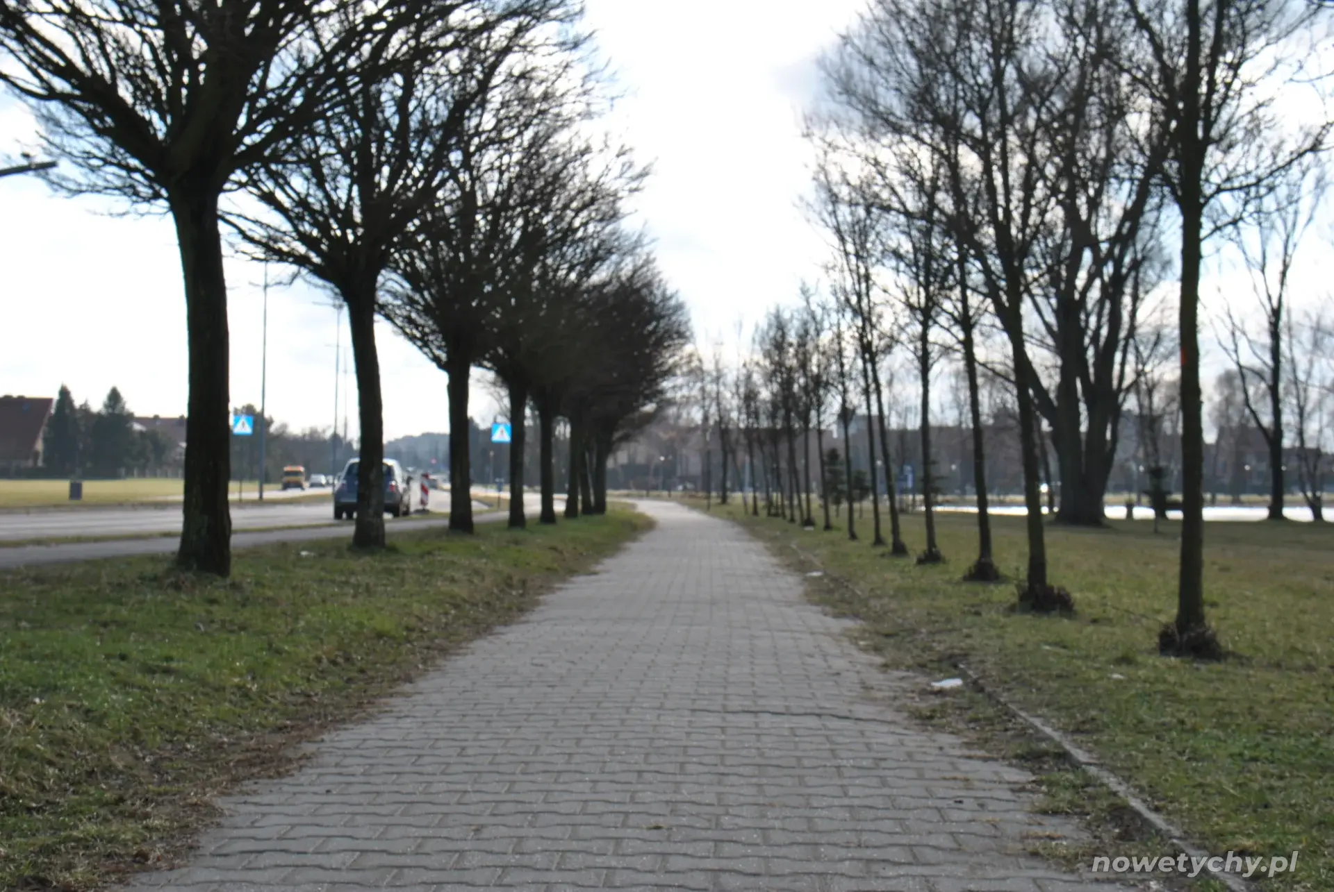 Aleja wzdłuż ulicy Stoczniowc&oacute;w