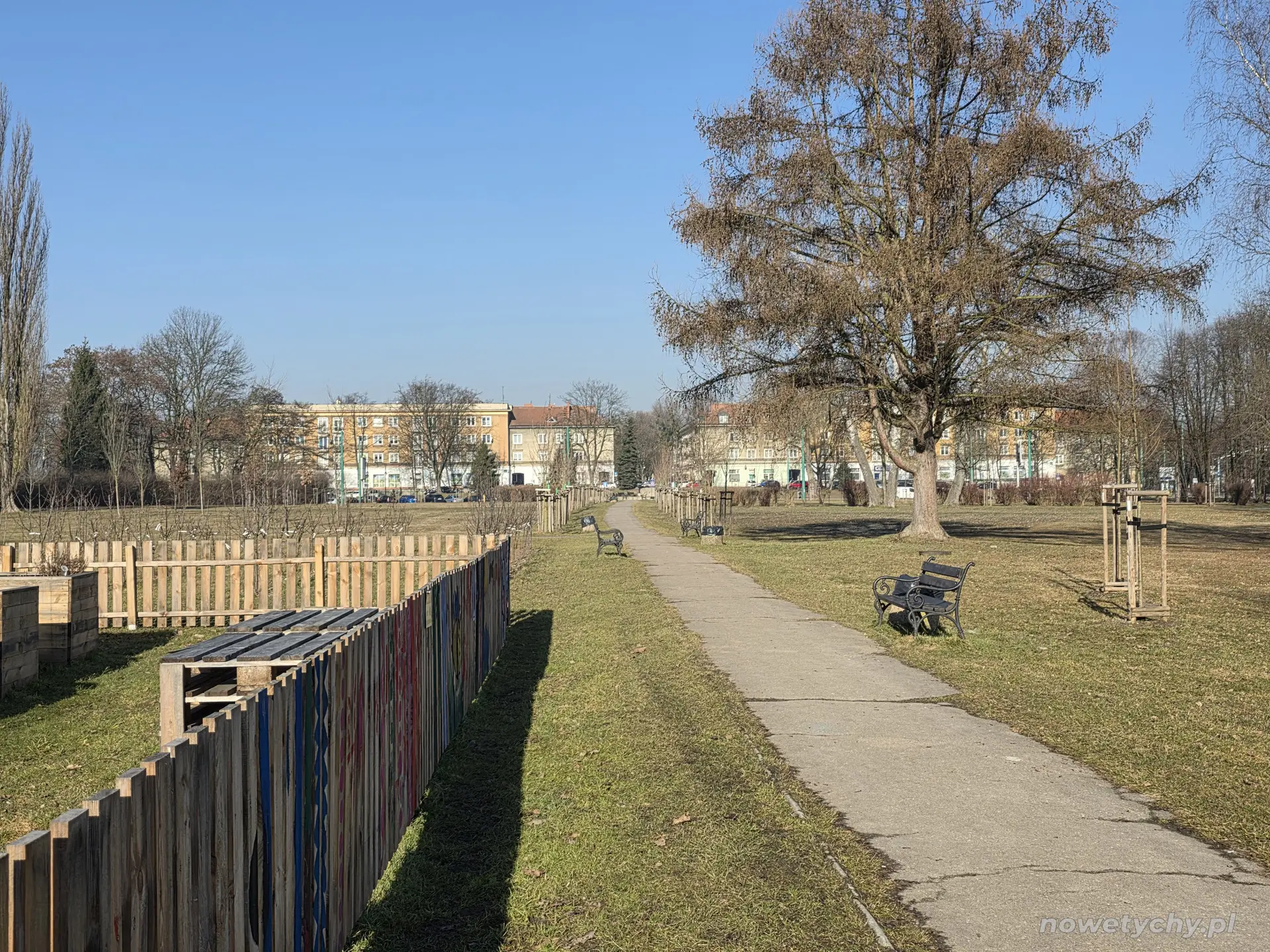Aleja skweru, po lewej fragment Rodzinnego Sadu Miejskiego