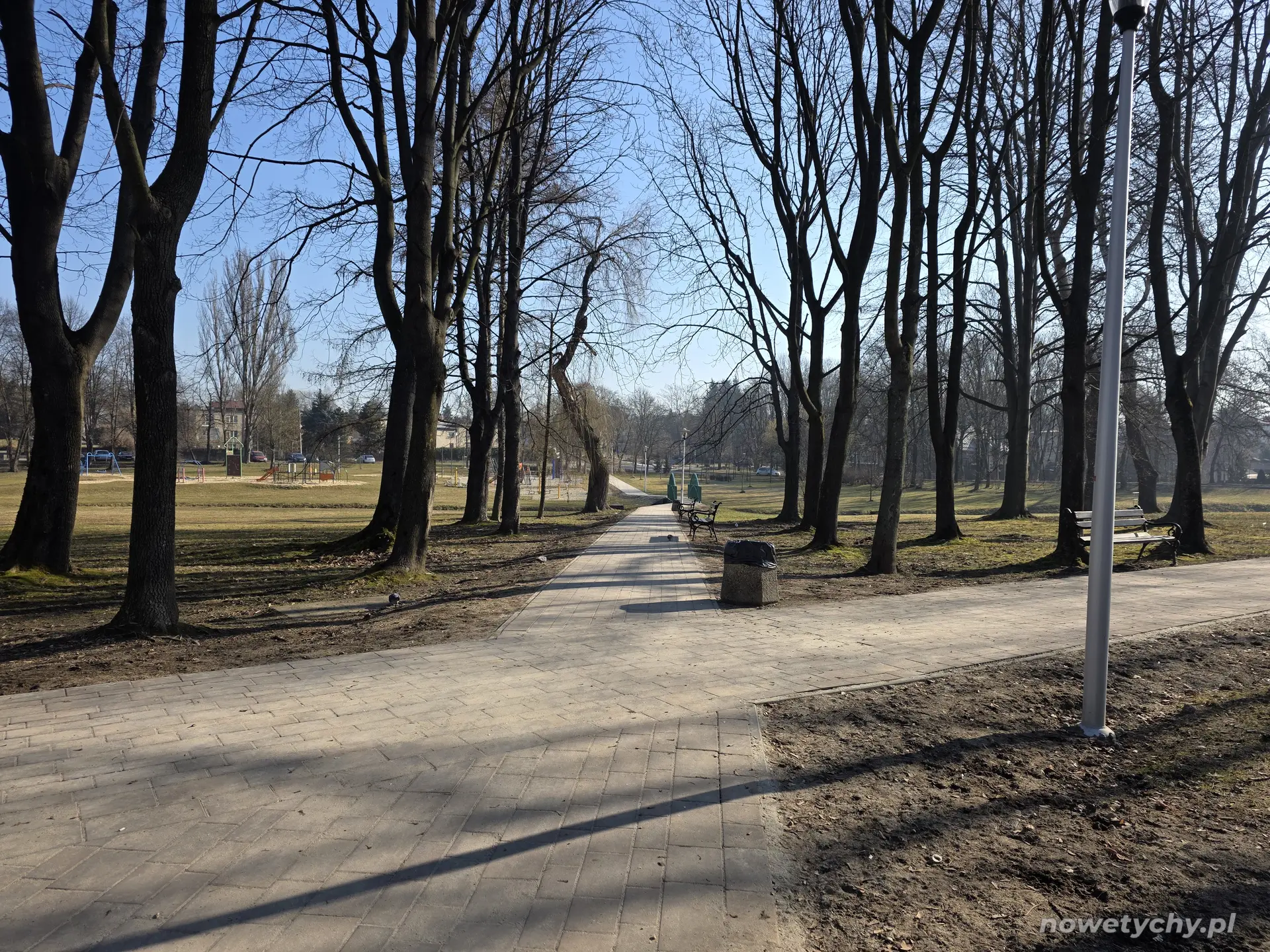 Skrzyżowanie alejek parkowych