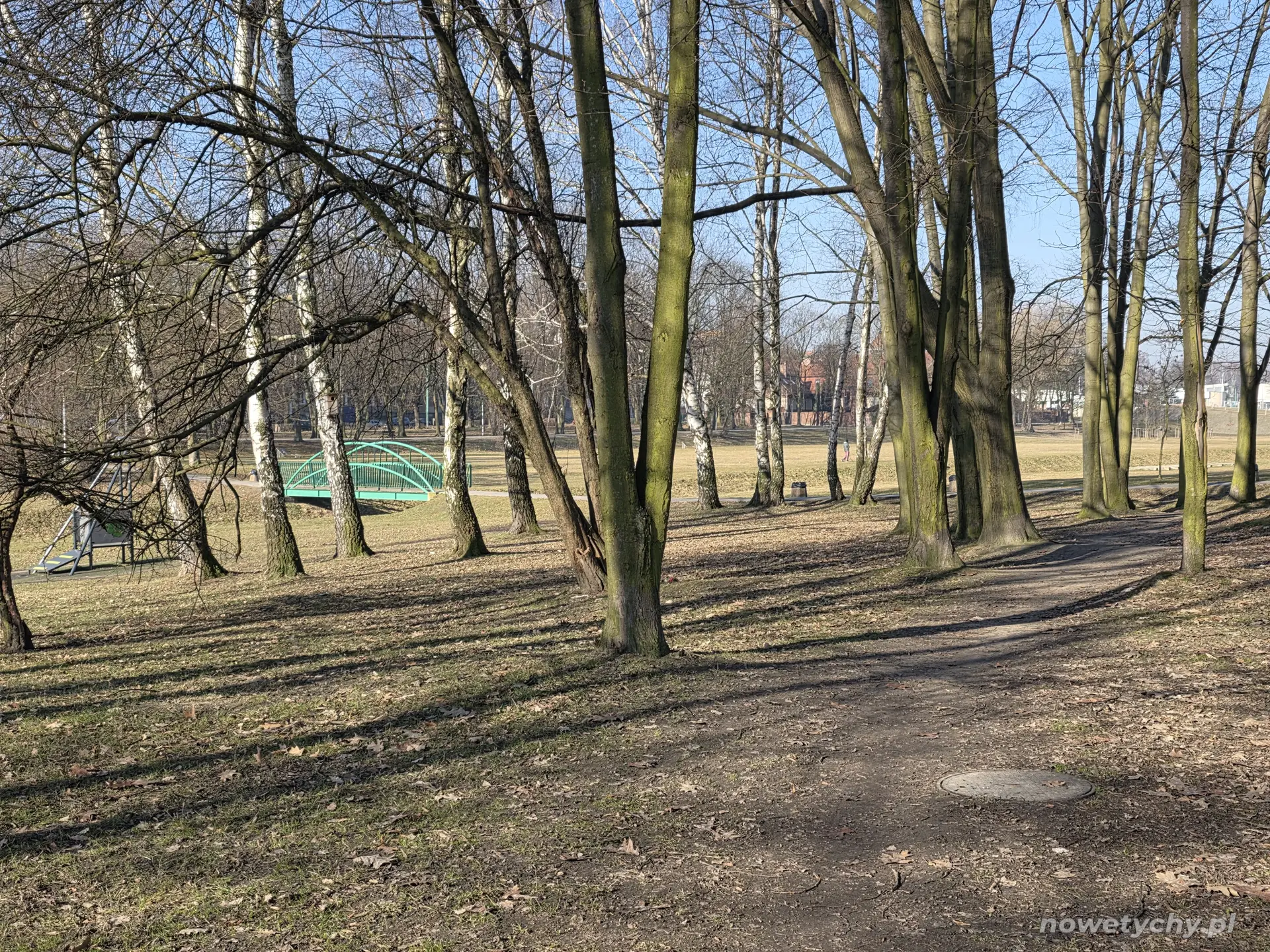 Widok między drzewami z lewej kawałek instalacji zjeżdżalni linowej