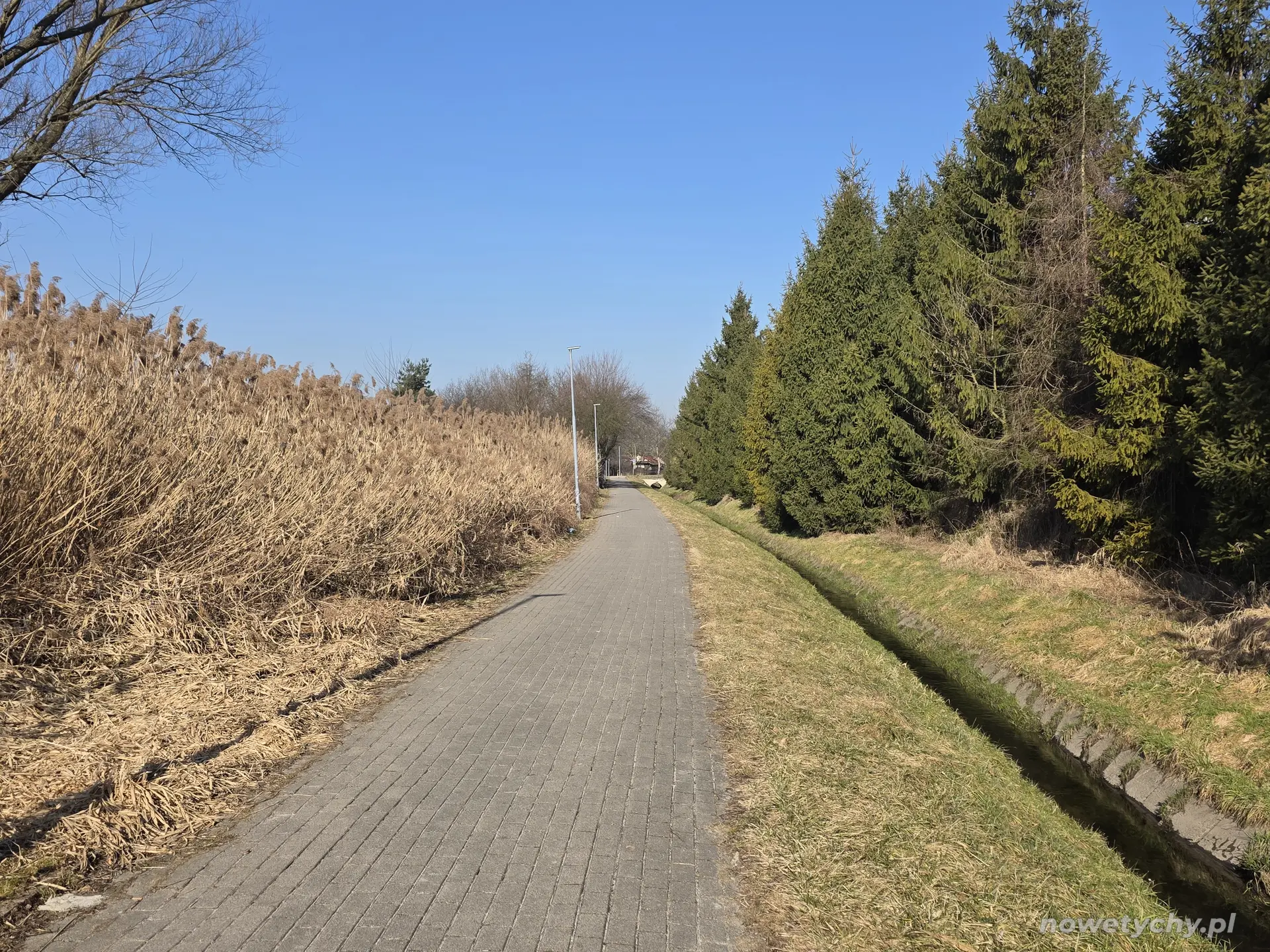 Trasa wzdłuż potoku Wilkowyjskiego