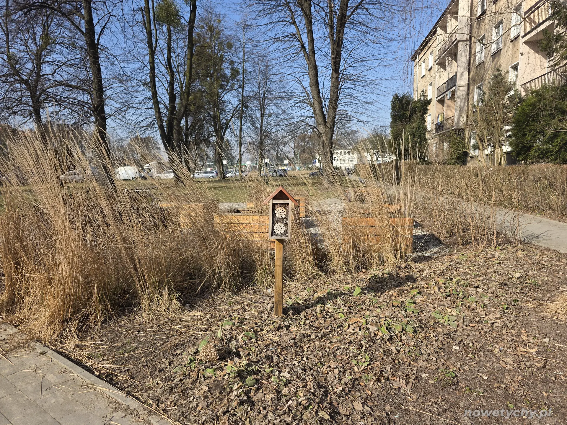 Ogr&oacute;d w skwerze