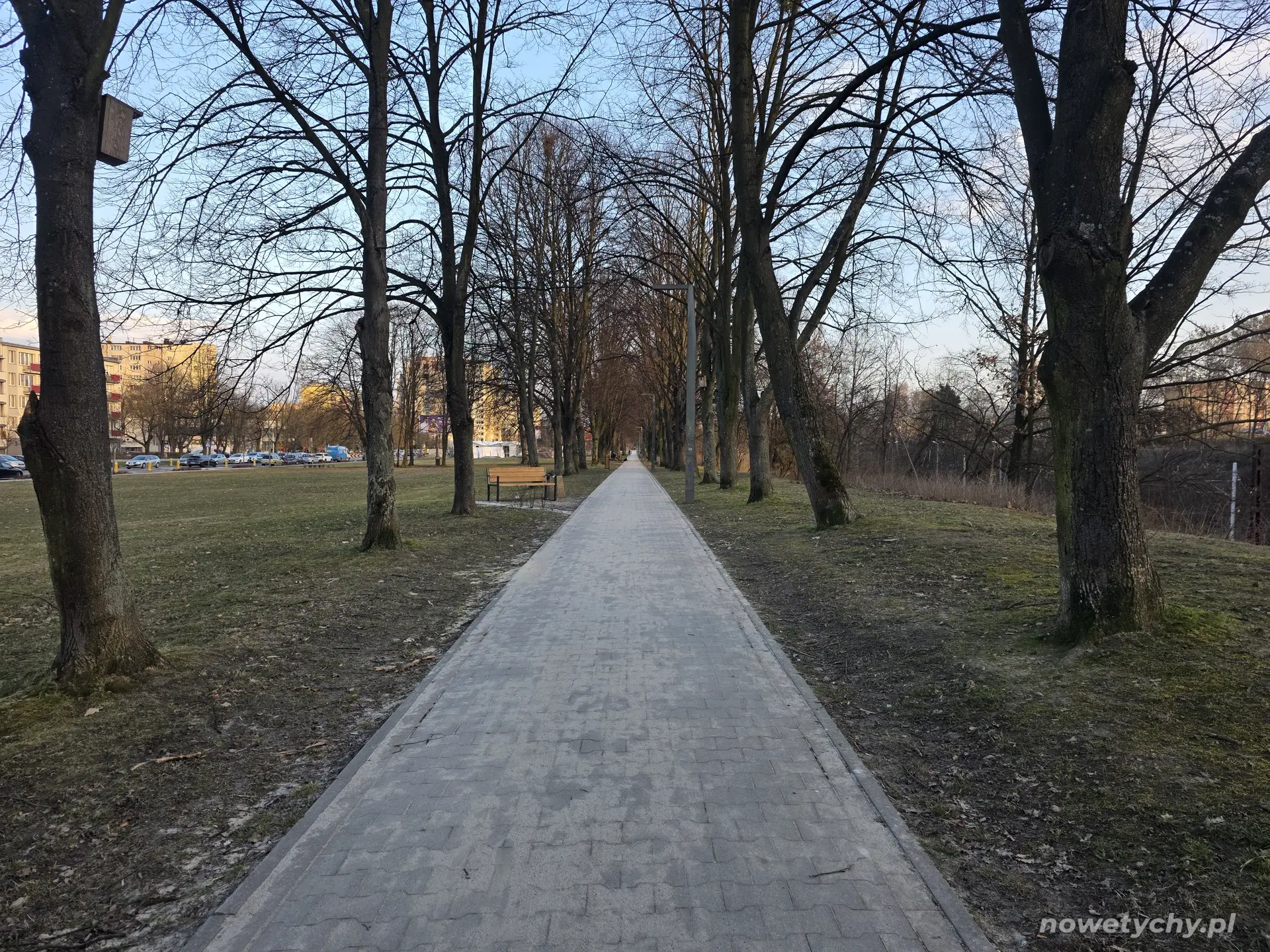 Gł&oacute;wna aleja skweru, widok w stronę ulicy Wyszyńskiego