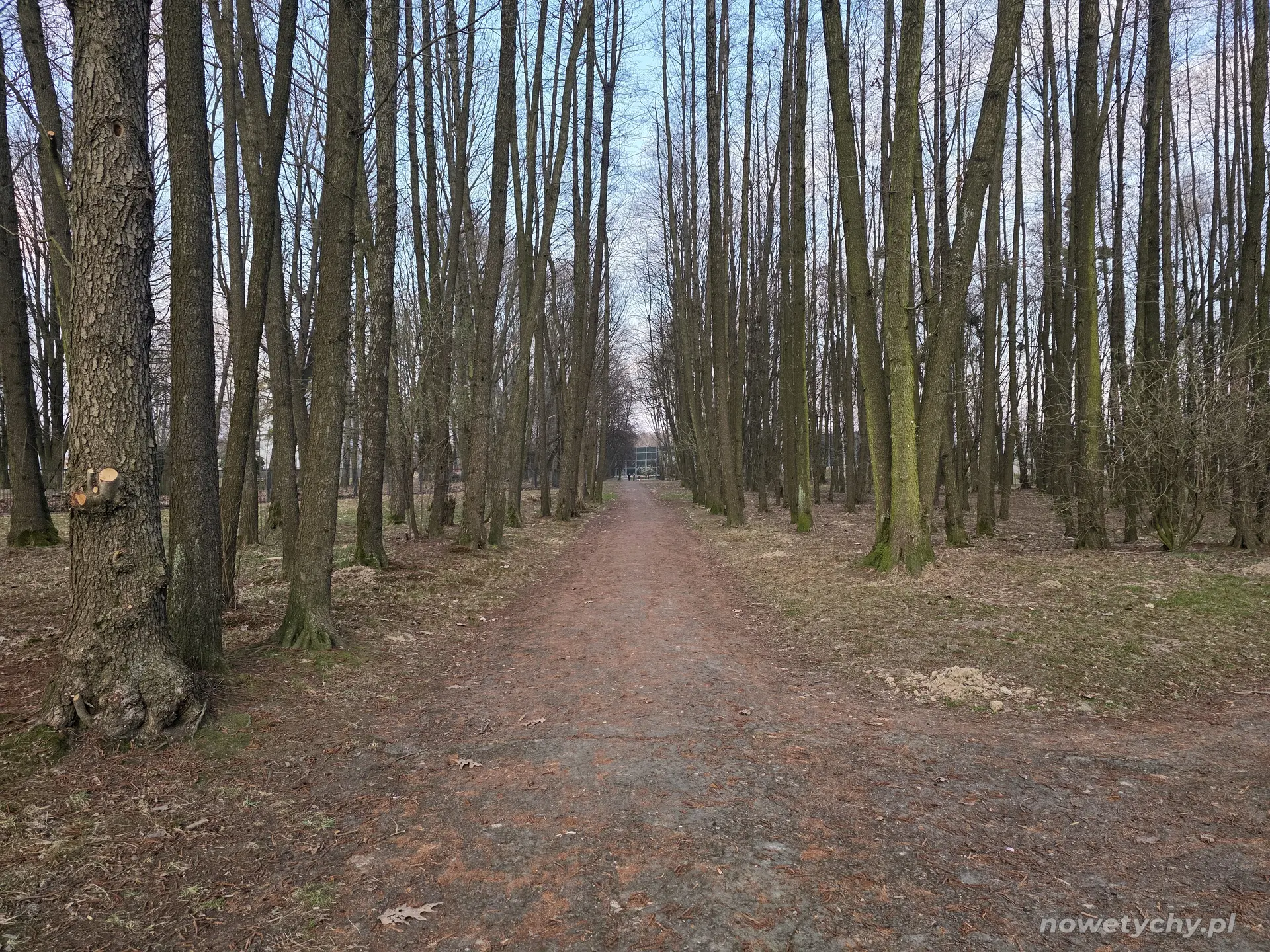 Aleja w stronę Beskidzkiej