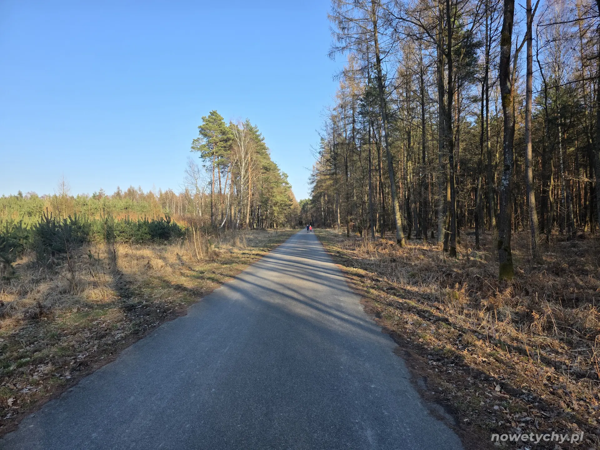 Droga w stronę Świerczyńca