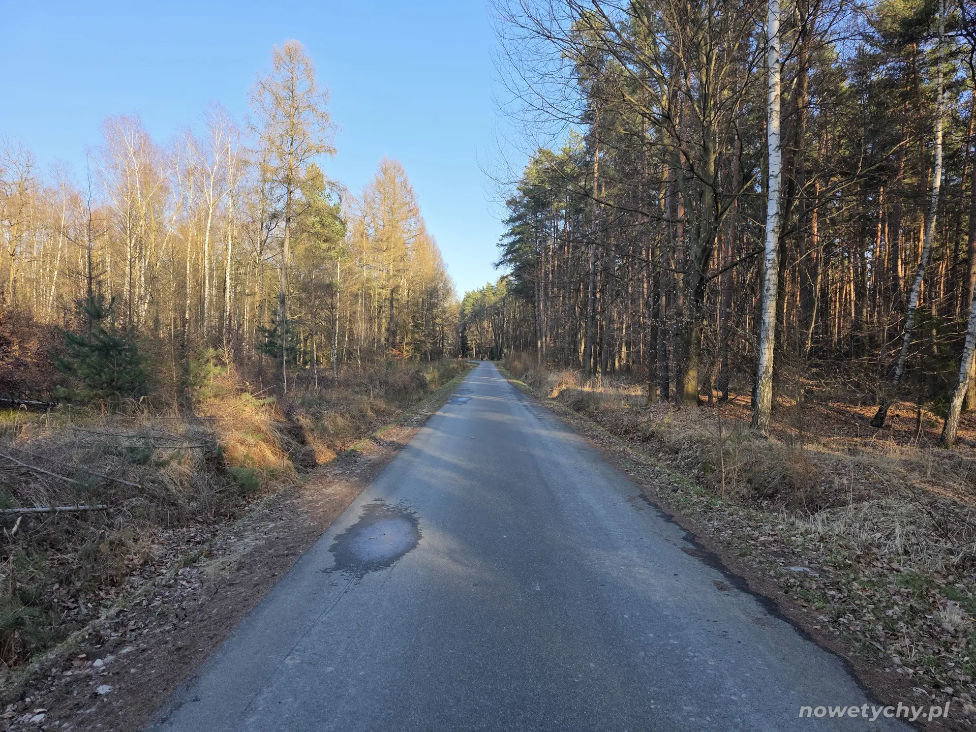 Droga w stronę Świerczyńca
