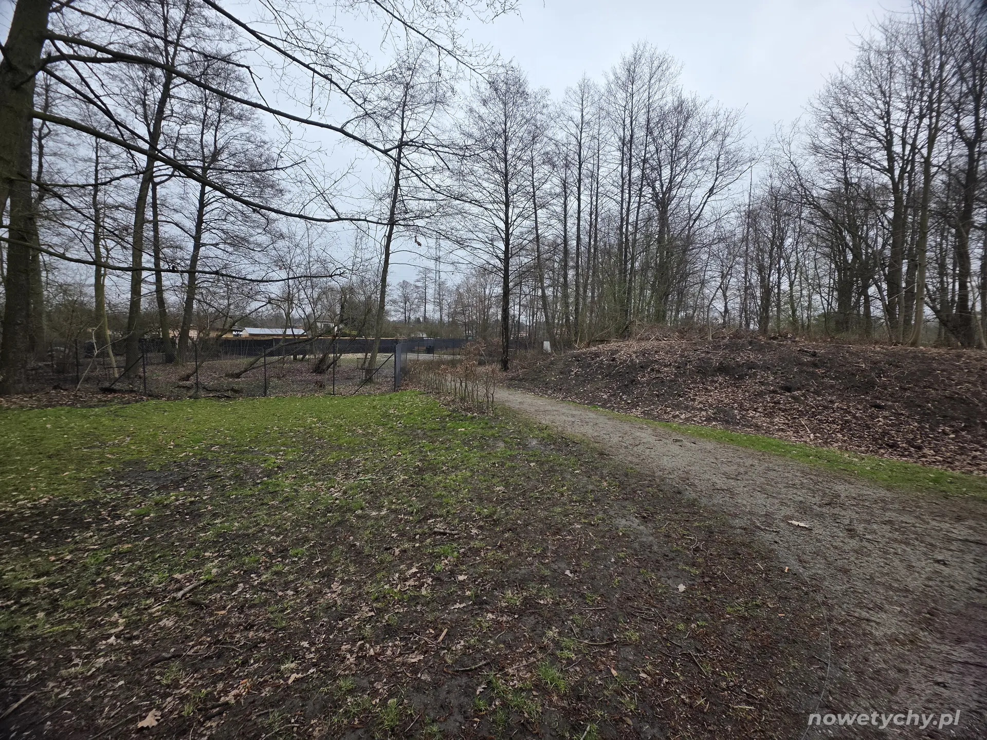 Widok wybiegu dla ps&oacute;w z parku