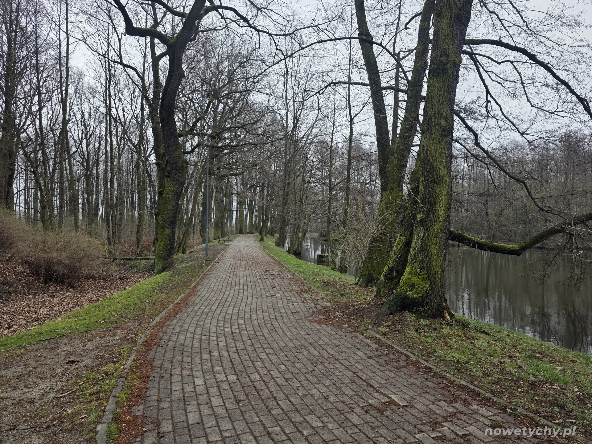 Staw po prawej stronie