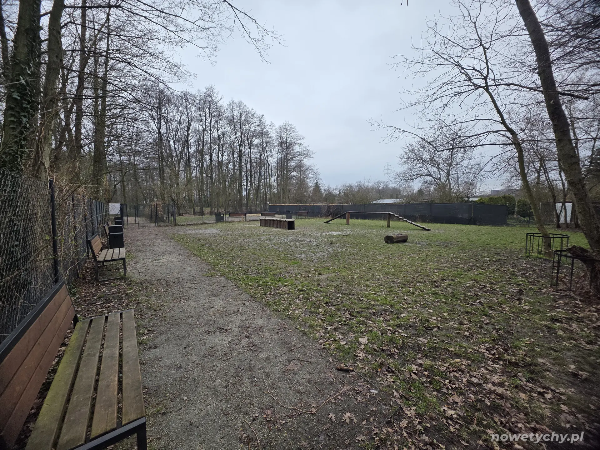 Szerokie ujęcie wybiegu dla ps&oacute;w