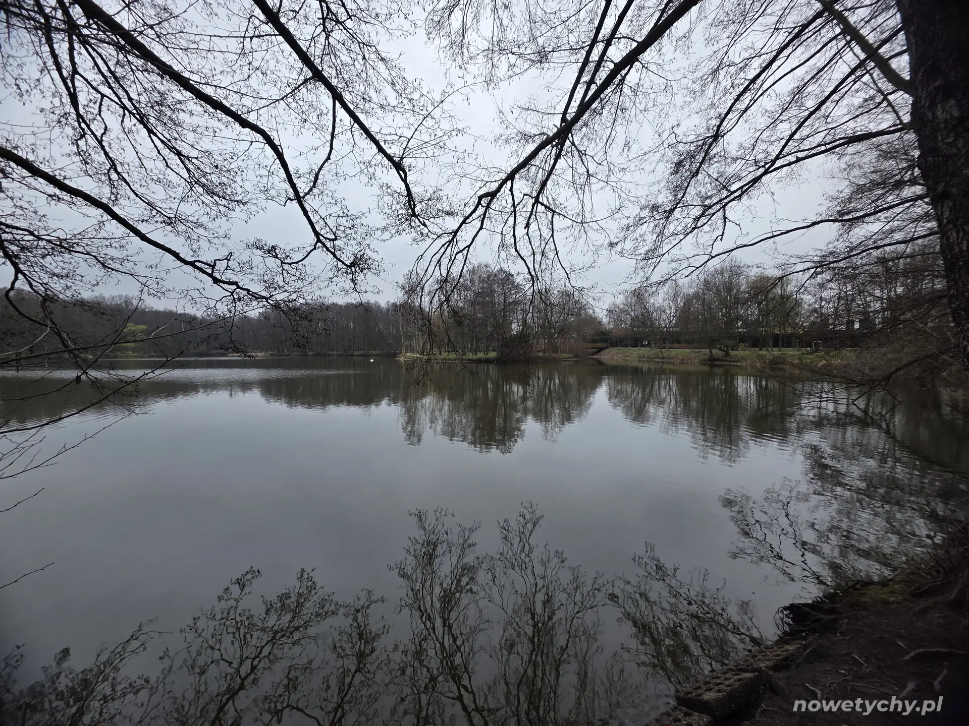 Szerokie ujęcie stawu