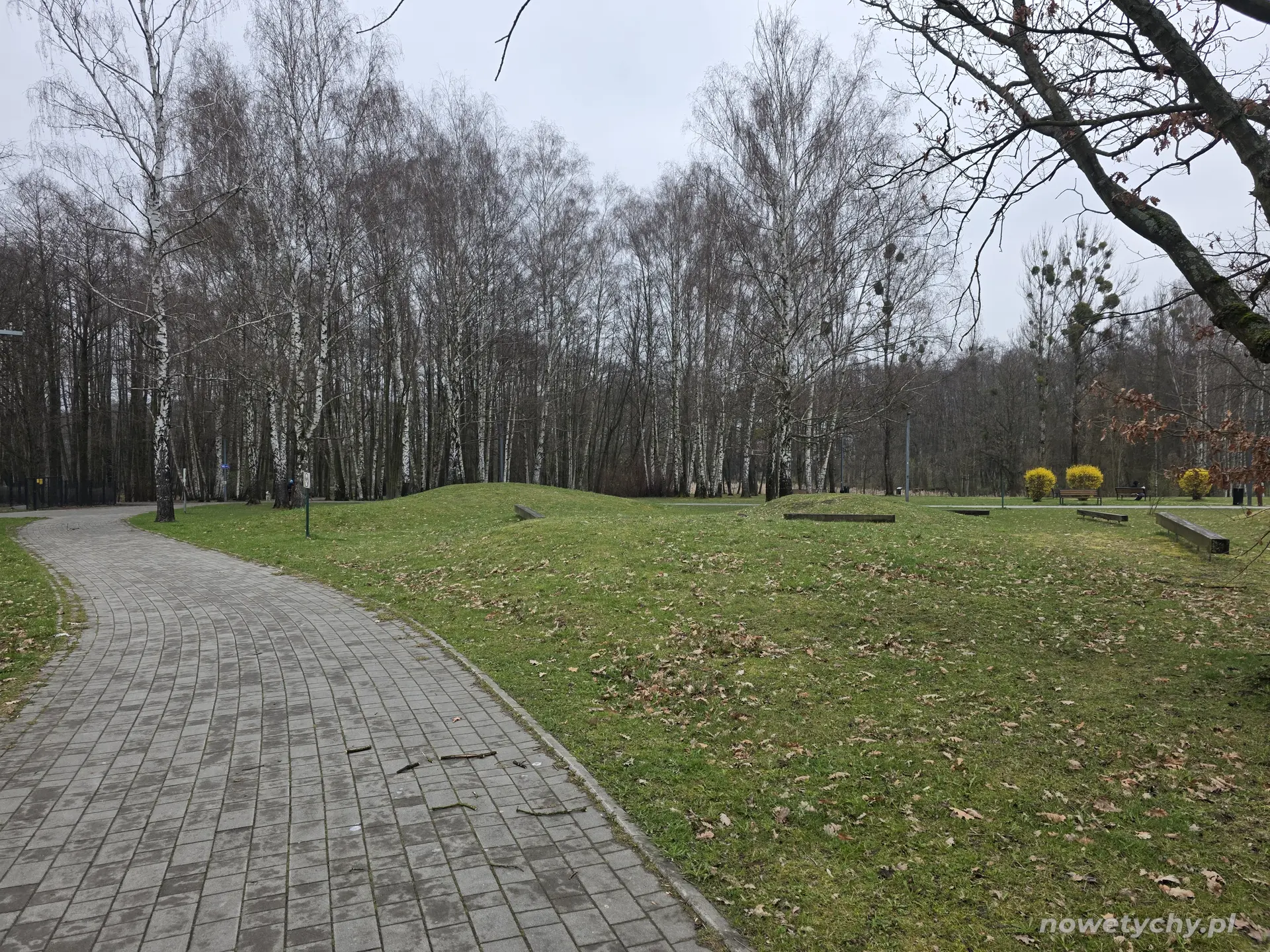 Wejście do parku od ulicy Elf&oacute;w